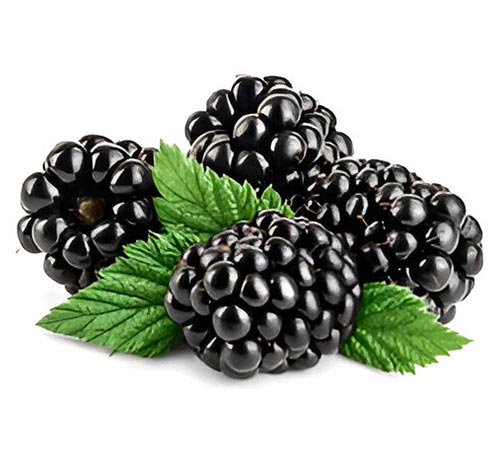Berries