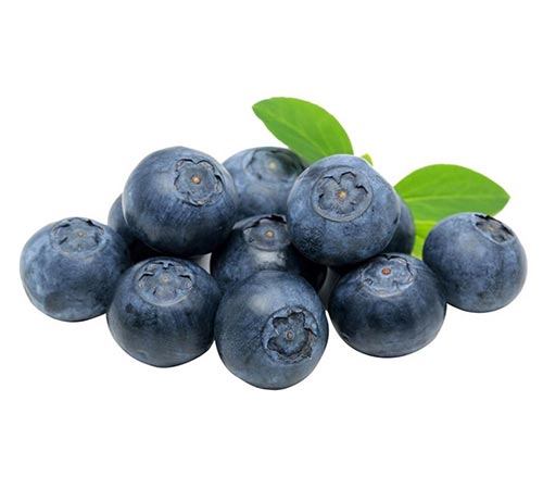 Blueberries