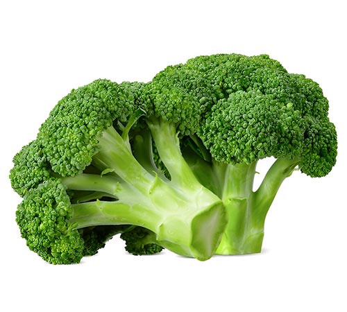Broccoli