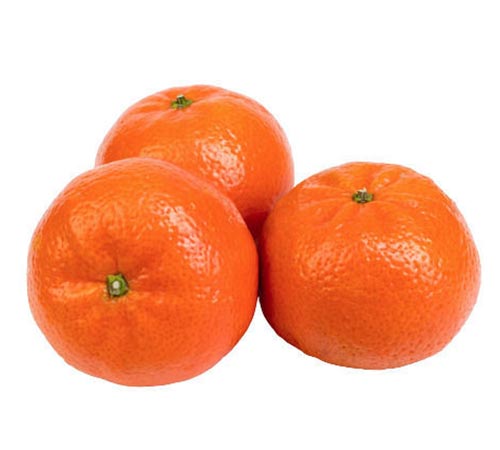 Nadorcott