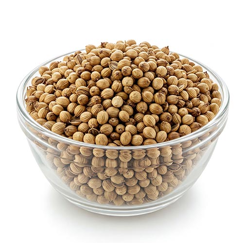 Coriander