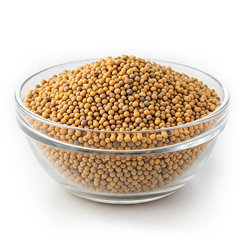 Mustard