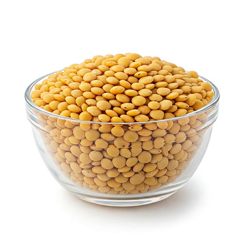 Yellow Lentils